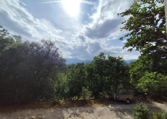 Des Chenes * Los Masos