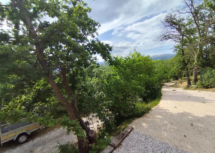 Des Chenes Los Masos